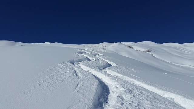 skiing-2993707_640
